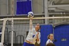 Wheaton Women's Volleyball  Wheaton Women's Volleyball vs Bridgewater State University. : Wheaton, Volleyball, BSU, Bridgewater State College